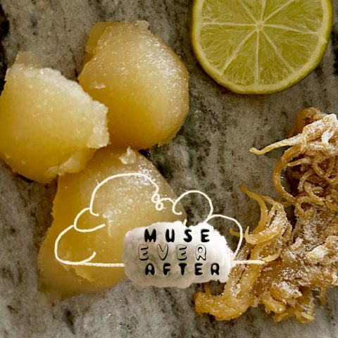 Sea Moss Gel Recipe | How to Make Sea Moss Gel Easy Recipe | Muse Ever After
